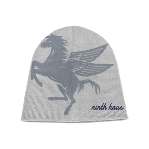 NINTH HAUS x HP BEANIE