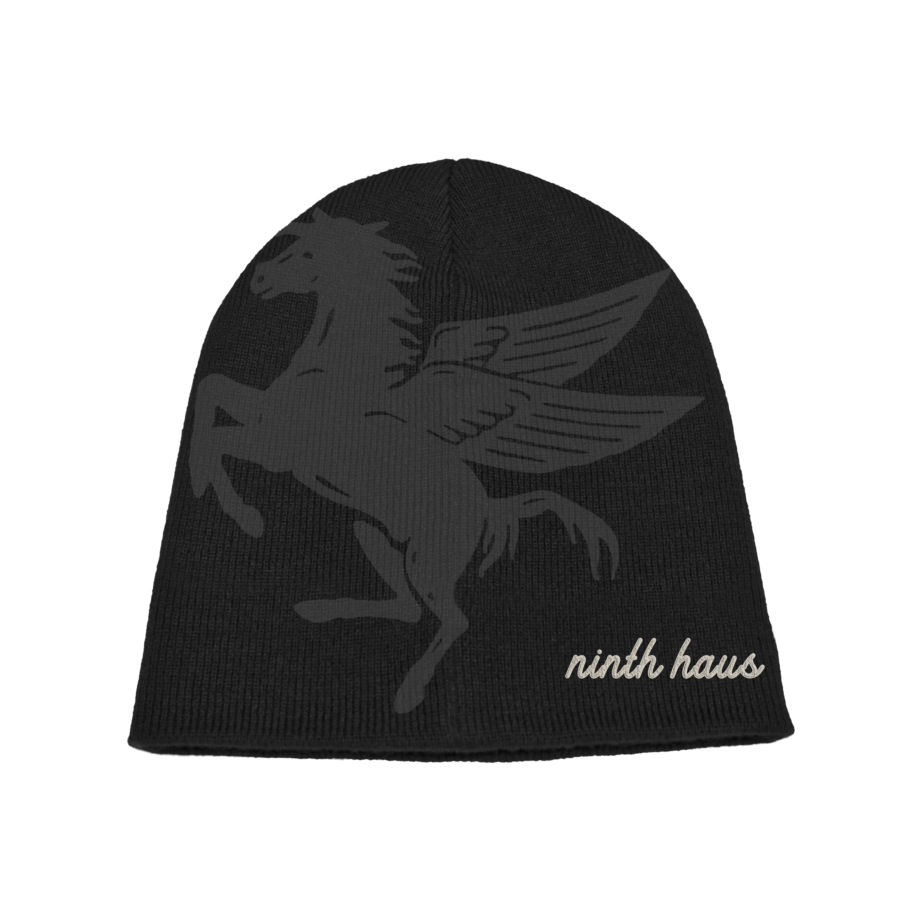 NINTH HAUS x HP BEANIE